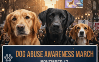 Dog Abuse Awareness March – Rider University Campus