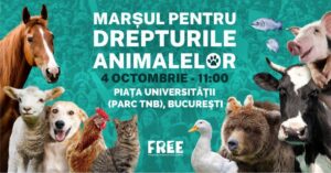 Read more about the article March for Animal Rights – Bucharest