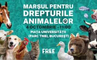 March for Animal Rights – Bucharest